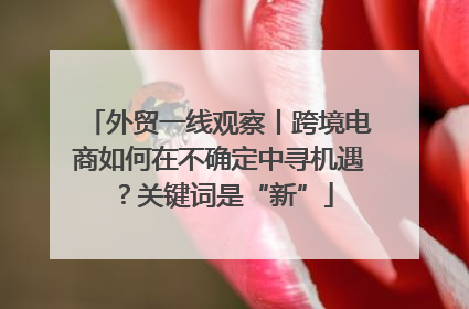 外贸一线观察丨跨境电商如何在不确定中寻机遇？关键词是“新”