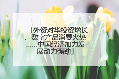 外资对华投资增长、数字产品消费火热……中国经济加力发展动力强劲