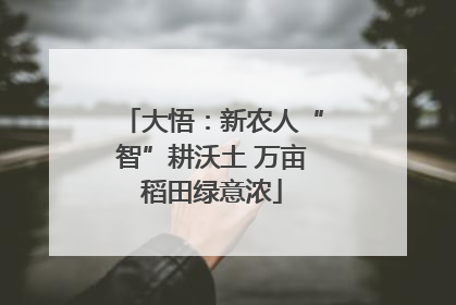 大悟：新农人“智”耕沃土 万亩稻田绿意浓