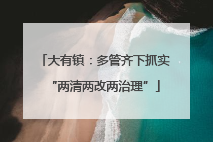 大有镇：多管齐下抓实“两清两改两治理”