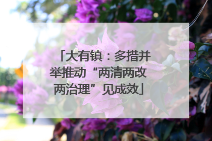 大有镇：多措并举推动“两清两改两治理”见成效