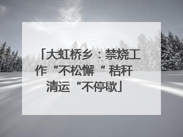 大虹桥乡：禁烧工作“不松懈“ 秸秆清运“不停歇