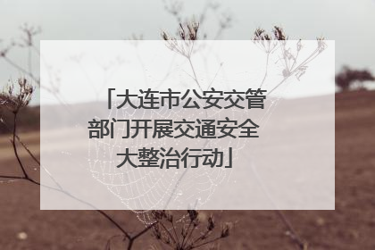 大连市公安交管部门开展交通安全大整治行动