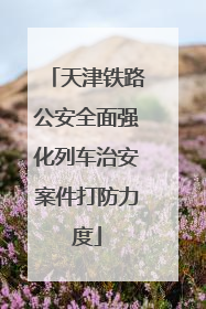 天津铁路公安全面强化列车治安案件打防力度