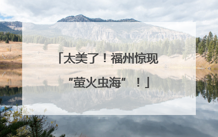 太美了！福州惊现“萤火虫海”！