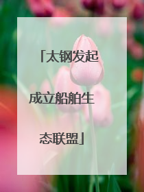 太钢发起成立船舶生态联盟