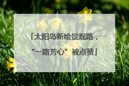 太阳岛新绘景观路，“一路芳心”被点赞