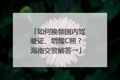 如何换领国内驾驶证、增驾C照？海南交警解答→