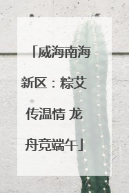 威海南海新区：粽艾传温情 龙舟竞端午