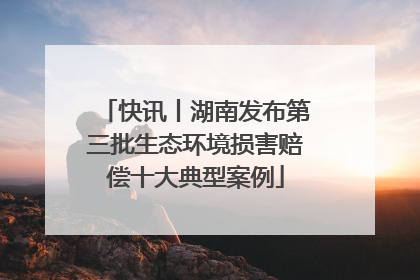 快讯丨湖南发布第三批生态环境损害赔偿十大典型案例