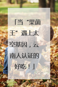 当“果菌王”遇上太空基因，云南人认证的好吃！