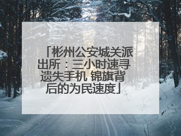 彬州公安城关派出所：三小时速寻遗失手机 锦旗背后的为民速度