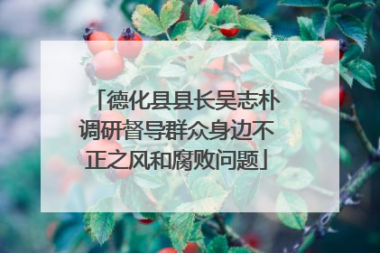 德化县县长吴志朴调研督导群众身边不正之风和腐败问题