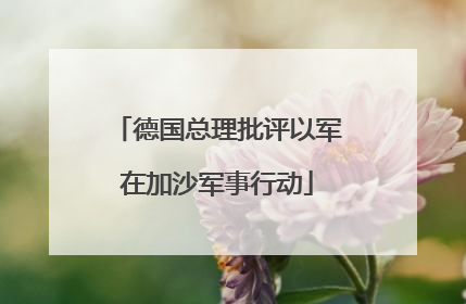 德国总理批评以军在加沙军事行动