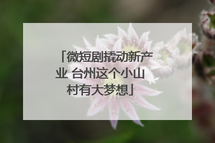 微短剧撬动新产业 台州这个小山村有大梦想
