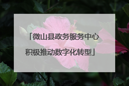 微山县政务服务中心积极推动数字化转型