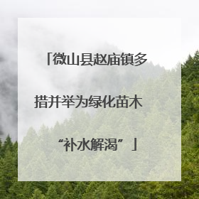 微山县赵庙镇多措并举为绿化苗木“补水解渴”