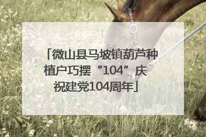 微山县马坡镇葫芦种植户巧摆“104”庆祝建党104周年