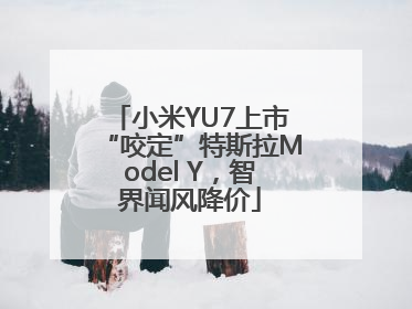 小米YU7上市“咬定”特斯拉Model Y，智界闻风降价