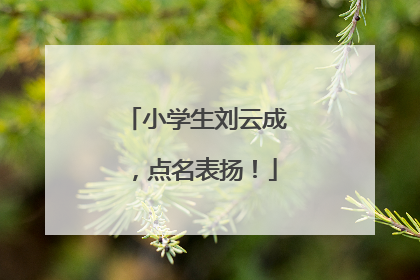 小学生刘云成，点名表扬！