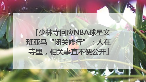 少林寺回应NBA球星文班亚马“闭关修行”：人在寺里，相关事宜不便公开
