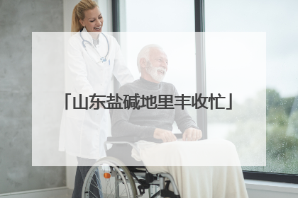 山东盐碱地里丰收忙