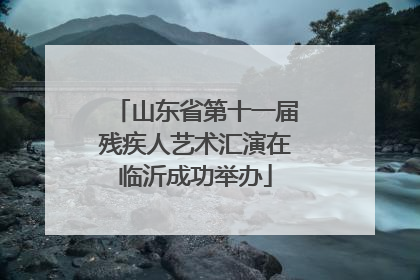 山东省第十一届残疾人艺术汇演在临沂成功举办