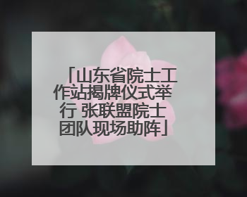 山东省院士工作站揭牌仪式举行 张联盟院士团队现场助阵