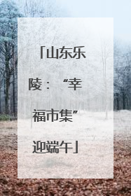 山东乐陵：“幸福市集”迎端午