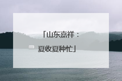 山东嘉祥：夏收夏种忙