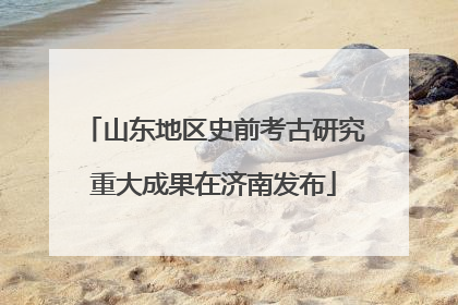 山东地区史前考古研究重大成果在济南发布