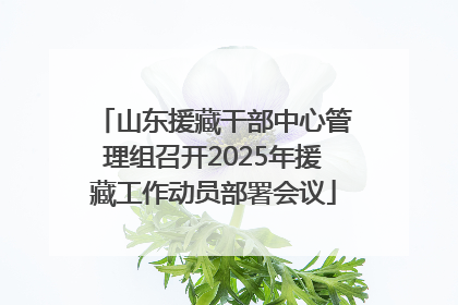山东援藏干部中心管理组召开2025年援藏工作动员部署会议