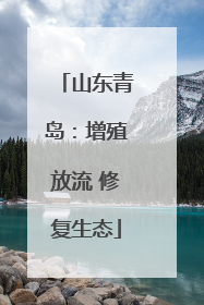 山东青岛：增殖放流 修复生态