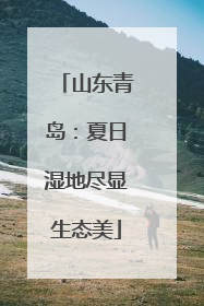 山东青岛：夏日湿地尽显生态美