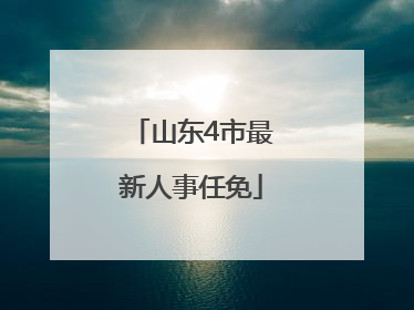 山东4市最新人事任免