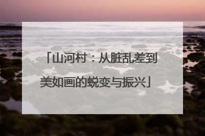 山河村：从脏乱差到美如画的蜕变与振兴