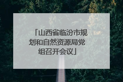 山西省临汾市规划和自然资源局党组召开会议