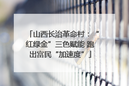 山西长治革命村：“红绿金”三色赋能 跑出富民“加速度”