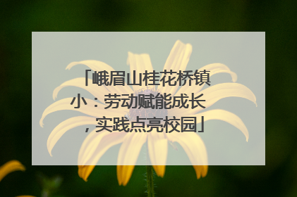峨眉山桂花桥镇小：劳动赋能成长，实践点亮校园