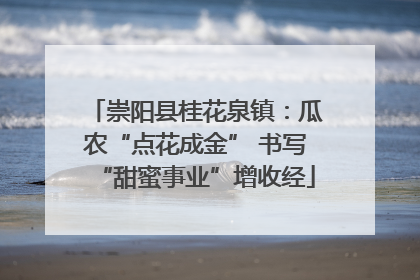 崇阳县桂花泉镇：瓜农“点花成金” 书写“甜蜜事业”增收经