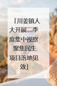 川姜镇人大开展二季度集中视察 聚焦民生项目落地见效