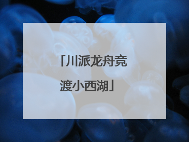 川派龙舟竞渡小西湖