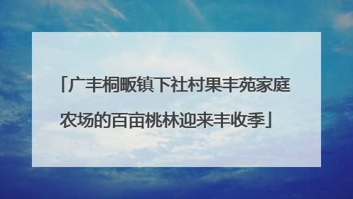 广丰桐畈镇下社村果丰苑家庭农场的百亩桃林迎来丰收季