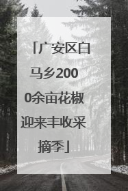 广安区白马乡2000余亩花椒迎来丰收采摘季