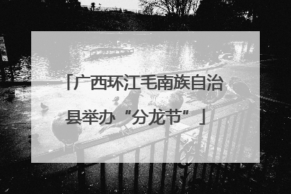 广西环江毛南族自治县举办“分龙节”