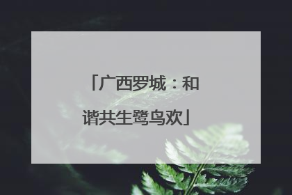 广西罗城：和谐共生鹭鸟欢