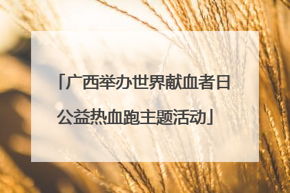 广西举办世界献血者日公益热血跑主题活动