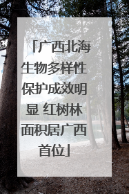 广西北海生物多样性保护成效明显 红树林面积居广西首位