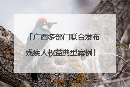 广西多部门联合发布残疾人权益典型案例