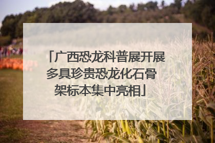 广西恐龙科普展开展 多具珍贵恐龙化石骨架标本集中亮相
